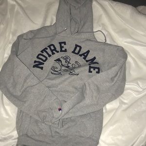 Norte Dame College Campus Hoodie